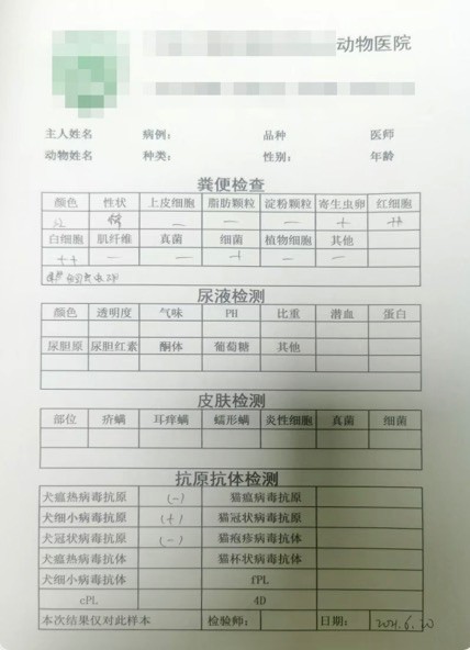 电子宠物与宠物检验报告