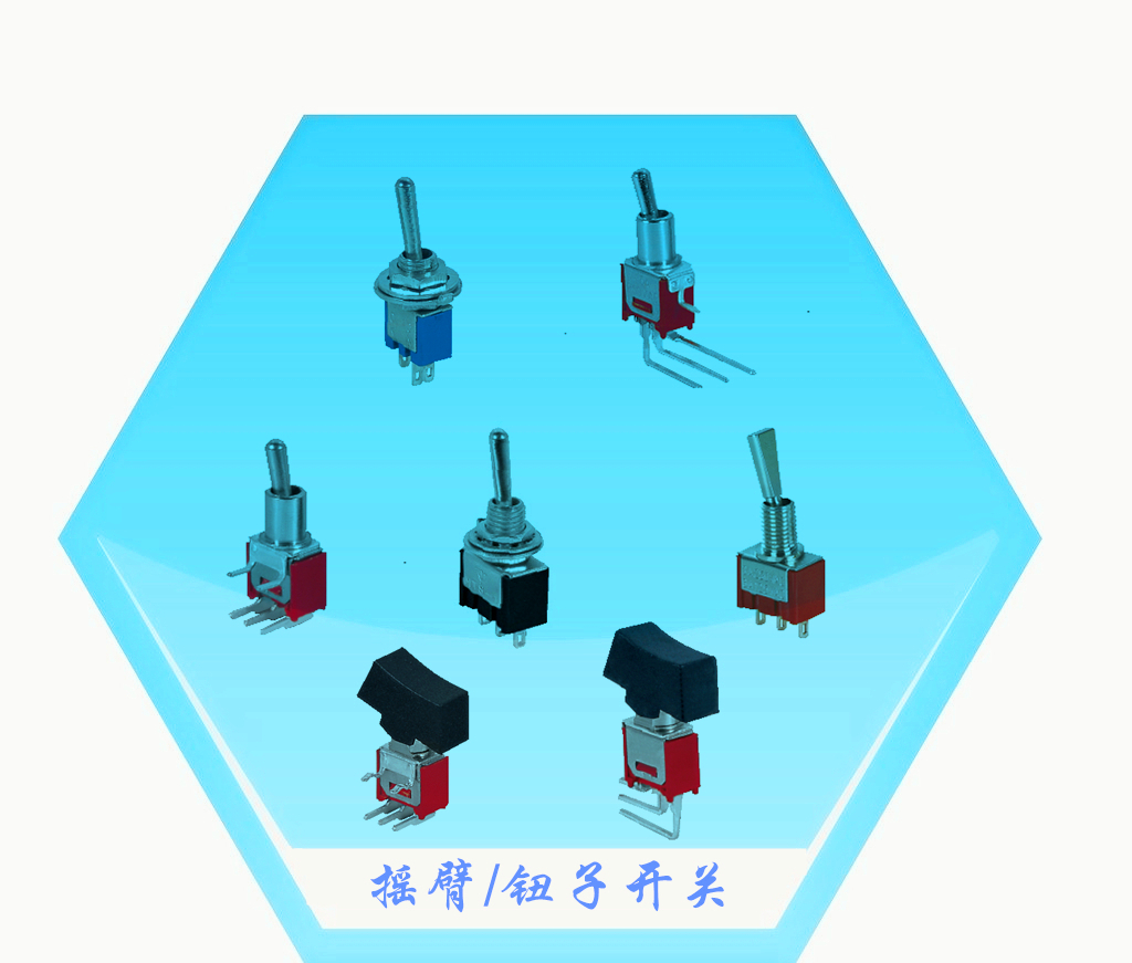 钮子开关与中国树脂电池