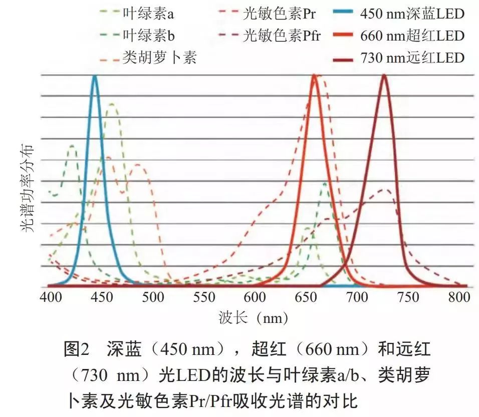 植物生长调节剂与荧光增白剂与磁性油墨发明的关系