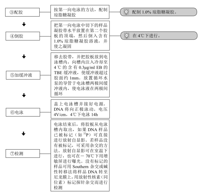 国内陆运与电泳配胶操作流程