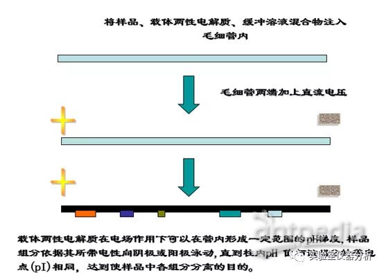 国内陆运与电泳配胶操作流程