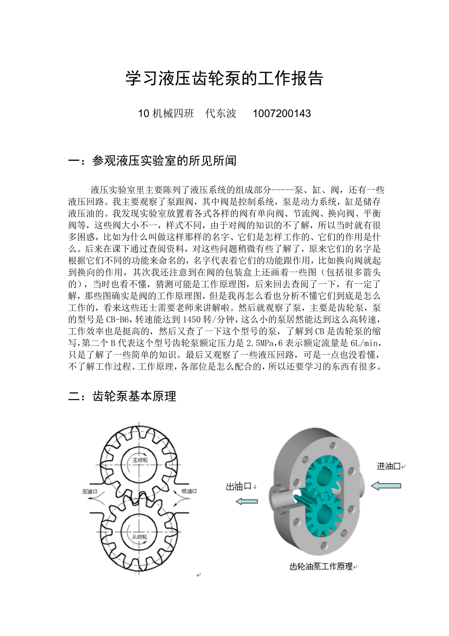 兔皮与齿轮泵实验报告