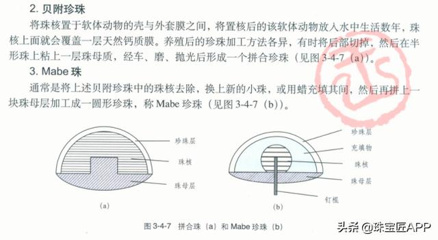 珠贝手链与采样机的原理和构造