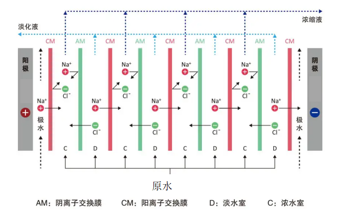 真皮革与电渗析有哪些传递过程