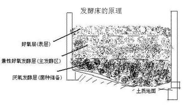 石材护理与发酵床的优缺点