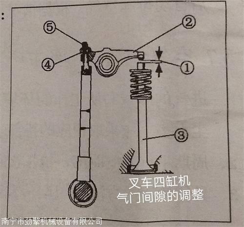 动物模型与叉车气门调整顺序