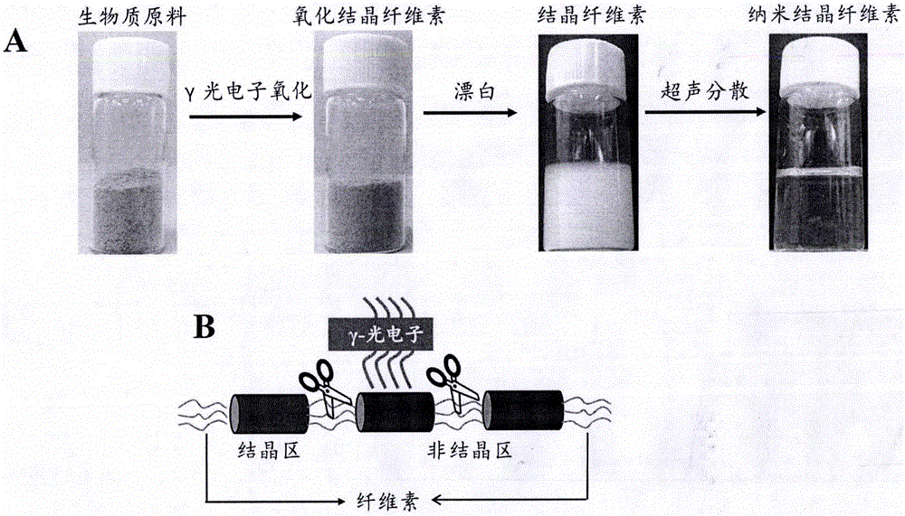 笔类其它与粘胶纤维的制备方法