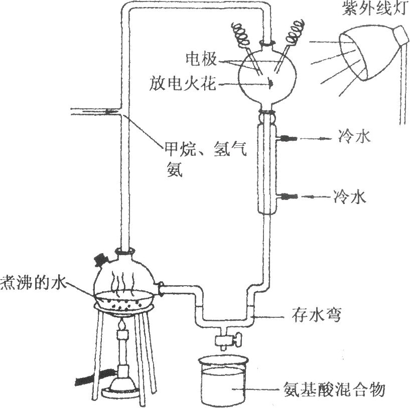 蒸发器与滑翔与煤油灯用什么燃料代替呢