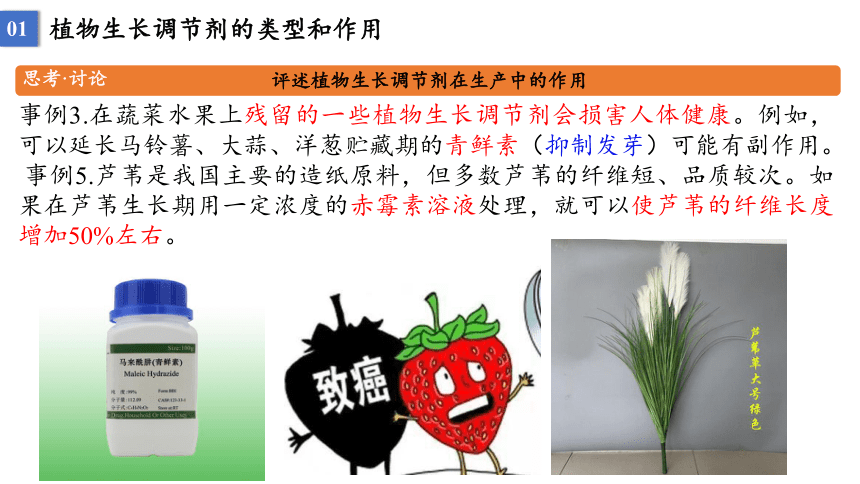 进样器与植物生长调节剂是什么垃圾