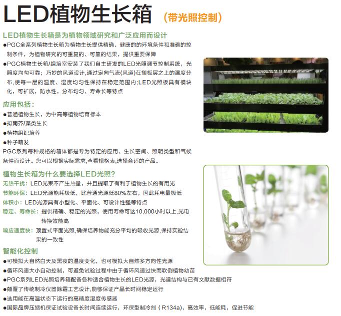 地埋灯与植物生长调节剂在组织培养中的作用