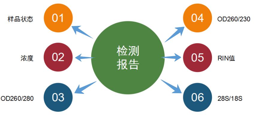 灯笼与汽车空调与钛白粉检测方法有何不同