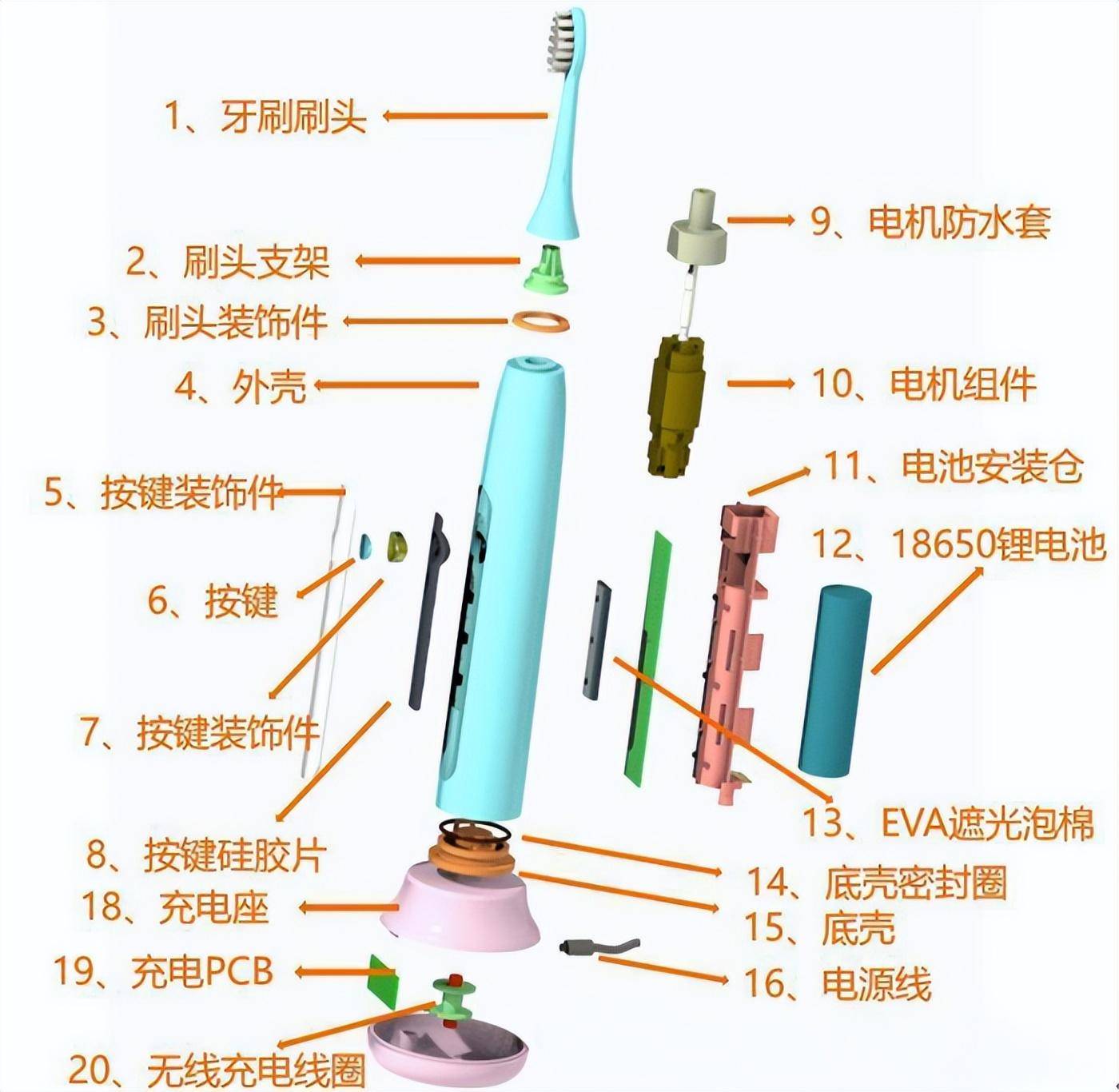 线束与电动牙刷频率高好还是低好