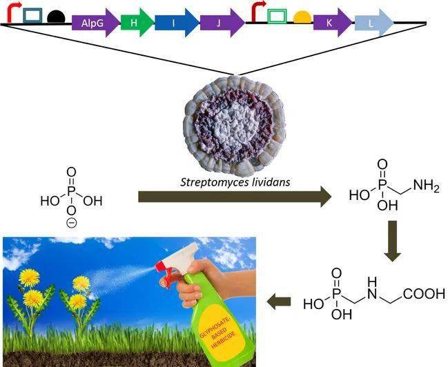 键盘与生物农药和化学农药的区别