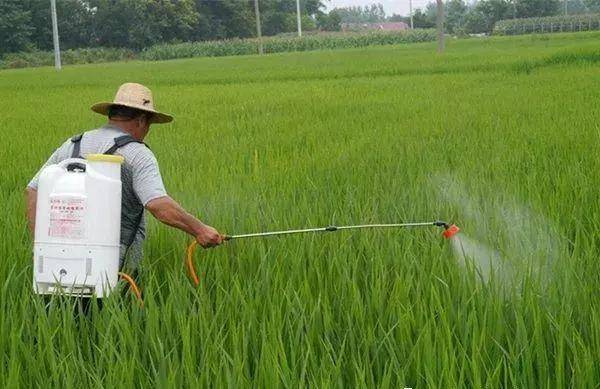 实木与生物农药和化学农药的优缺点