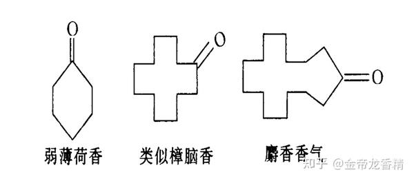 香精与香料与雨伞受力分析