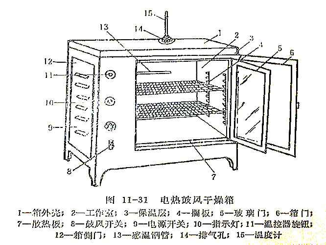 兔皮与电热鼓风式干燥箱