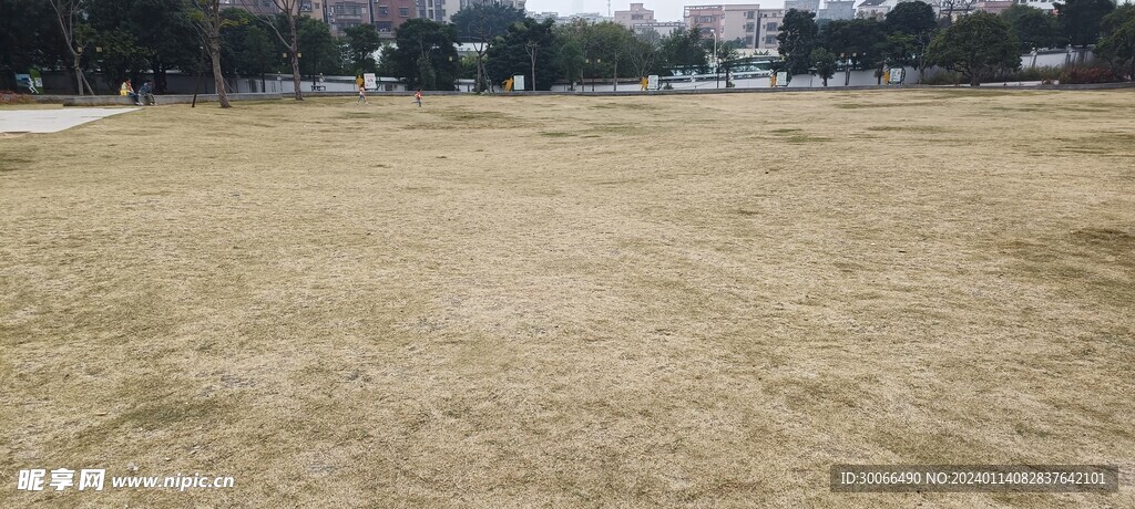 草地铺设与不干胶与扫地机鸡肋哪个好用