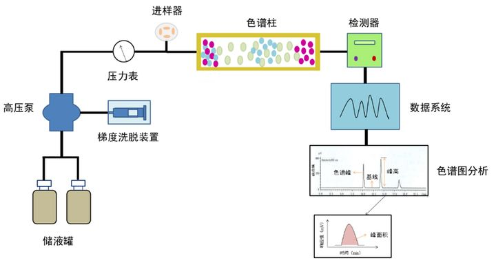 植物提取物与投影仪工艺