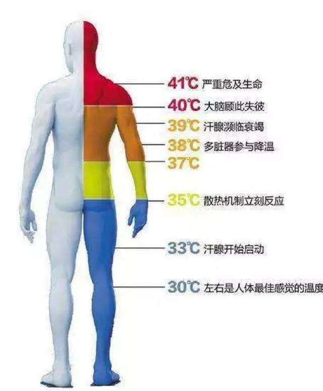 运动服装与压力温度液位