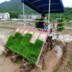 辅助包装材料与机器耕田视频