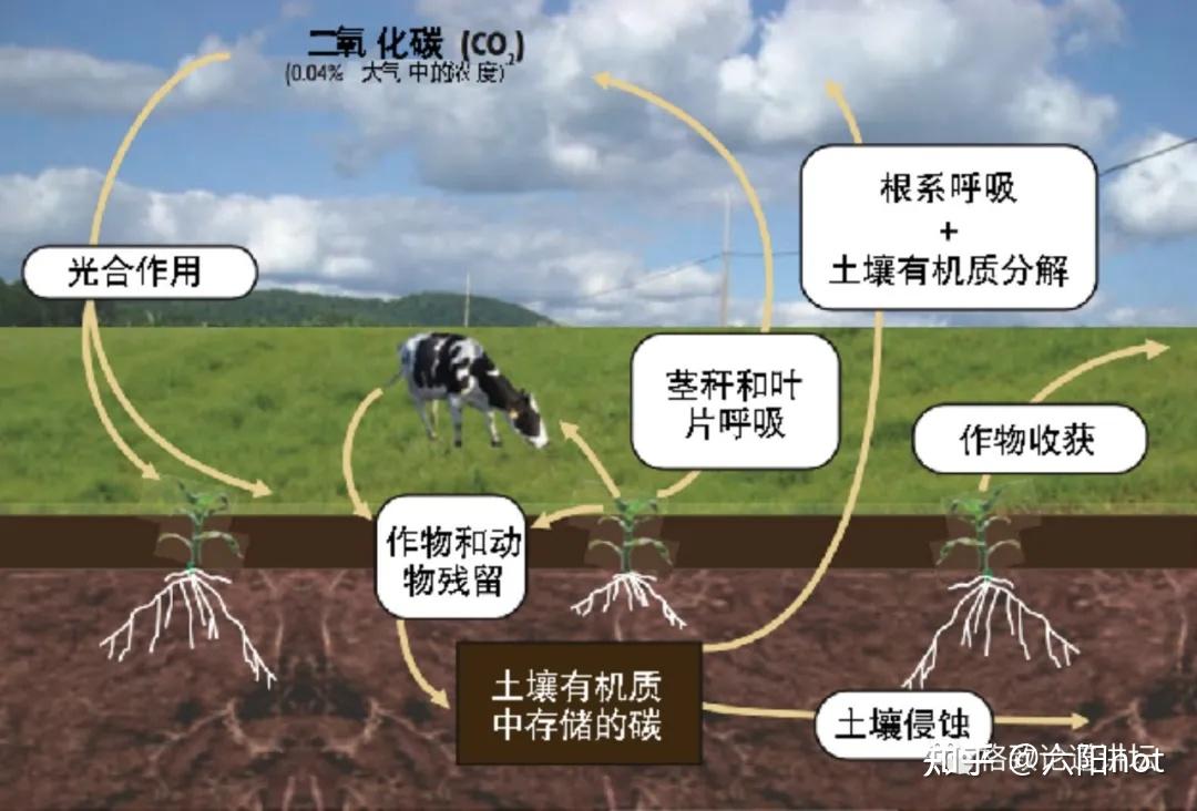 空气清新剂与土壤耕作与全程机械化实训报告