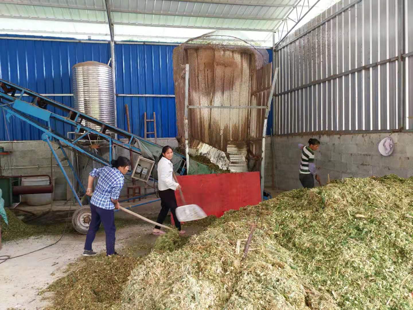 换色器与饲料如何青贮