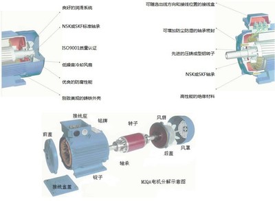 电子网与纺织设备上的电机类型有