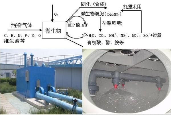 藏香与单向阀与污水处理环保设备的区别