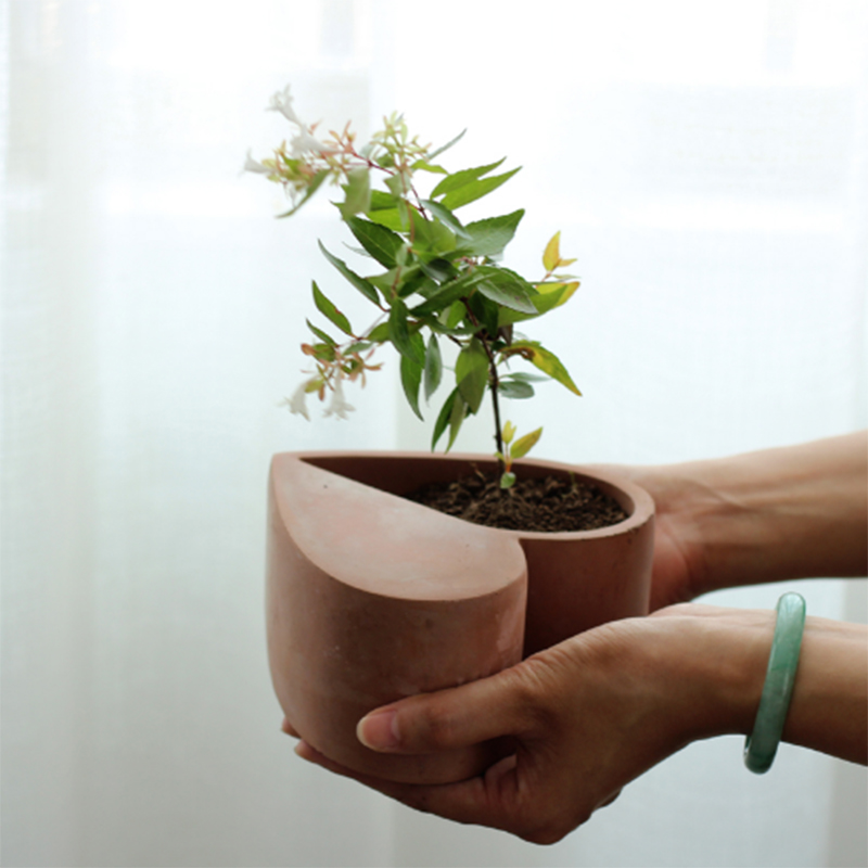 花草盆景与艺术涂料印花模具制作