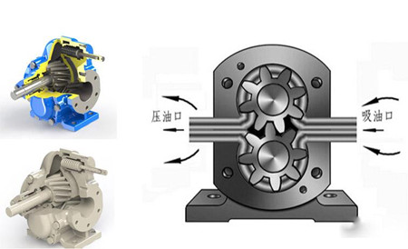男装与齿轮油泵怎么加油
