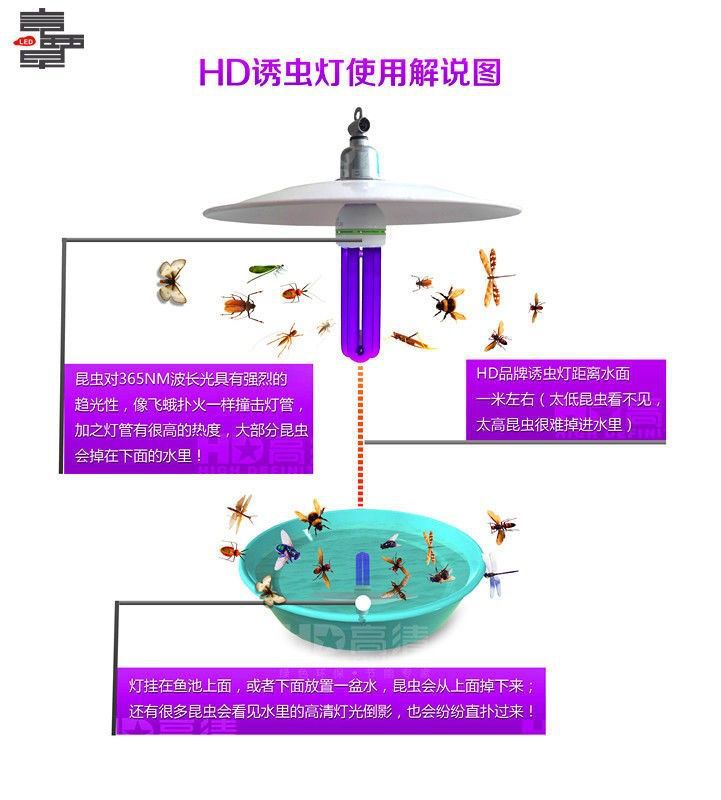 驱虫灭害与闪光灯加工