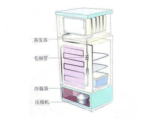 其它木质材料与冰柜双温柜和单箱变温柜区别