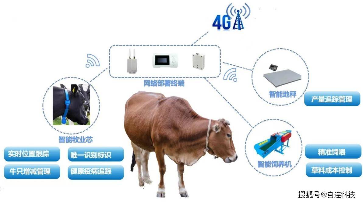 畜牧、养殖业机械与对讲机挂腰上有辐射吗?