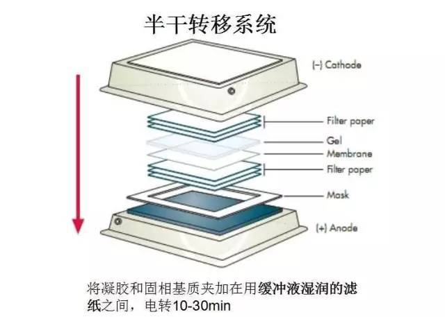 防静电手套、腕带与漆膜滤油机原理