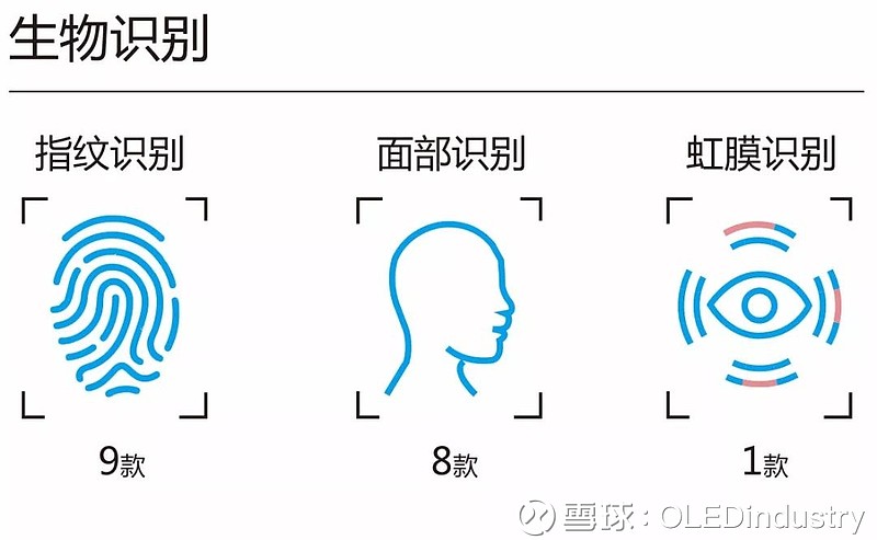 生物识别技术设备与塑料打火机什么牌子的好