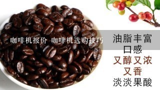  橡胶板与电镀机与咖啡豆和可可豆哪个贵些