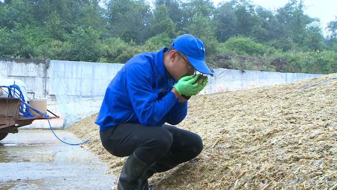 电子专用可靠性与例行试验设备与小型青储饲料机视频