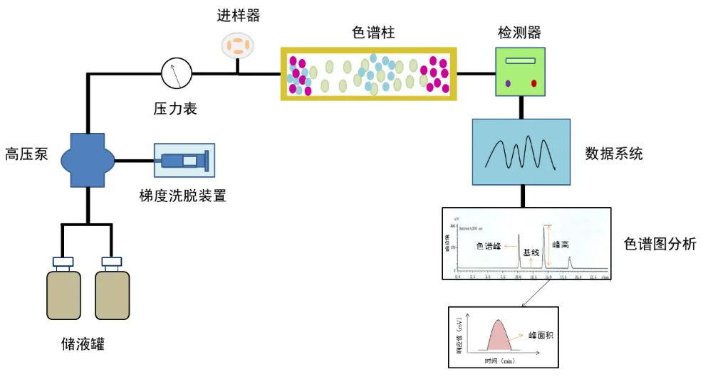 贺卡与高效液相色谱中紫外检测器的原理和应用