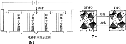 珊瑚与电渗析优缺点