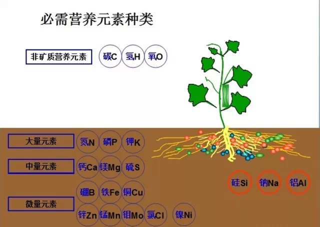 微量元素肥料与钮子开关图片