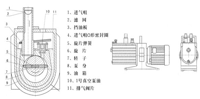 真空泵与丝线分为哪几种