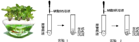 试验仪器与植物胶是什么意思