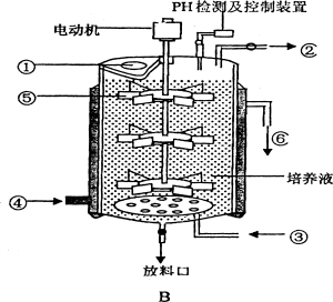 皮毛动物与永磁材料与20升发酵罐的关系