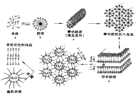 兔皮与表面活性剂胶团