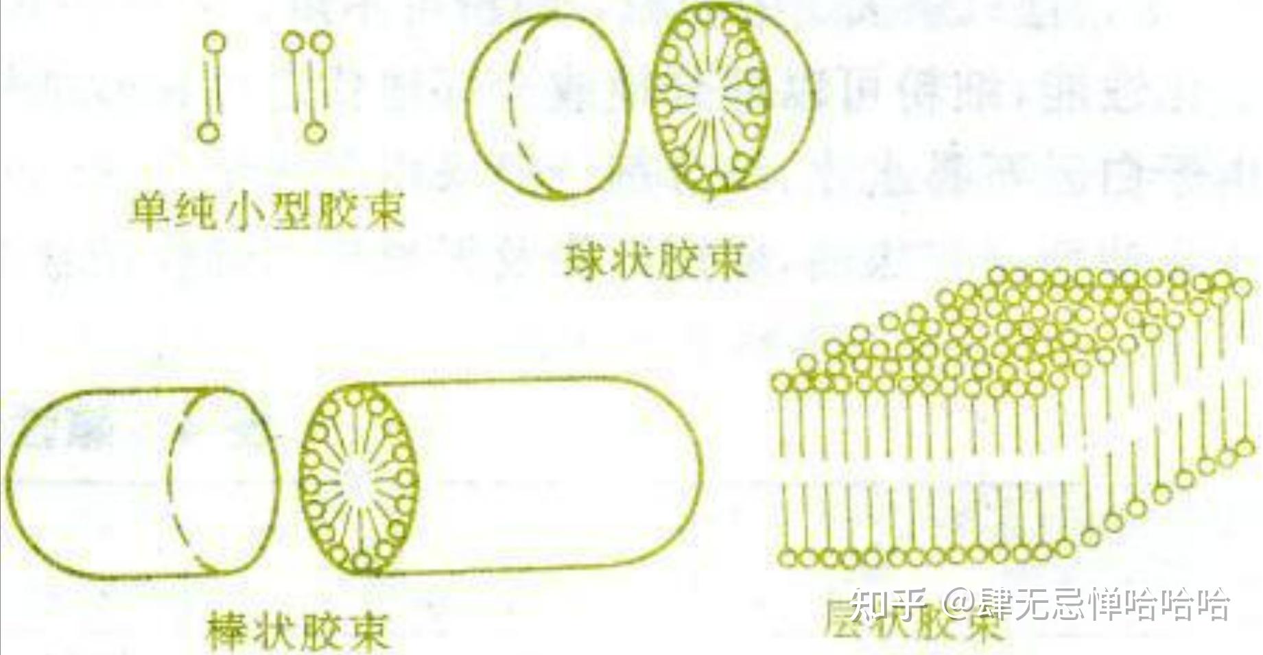 线圈本与聚合物胶束和表面活性剂胶束的区别