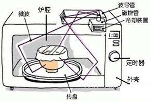 组合开关与微波炉转盘用手可以转动吗?