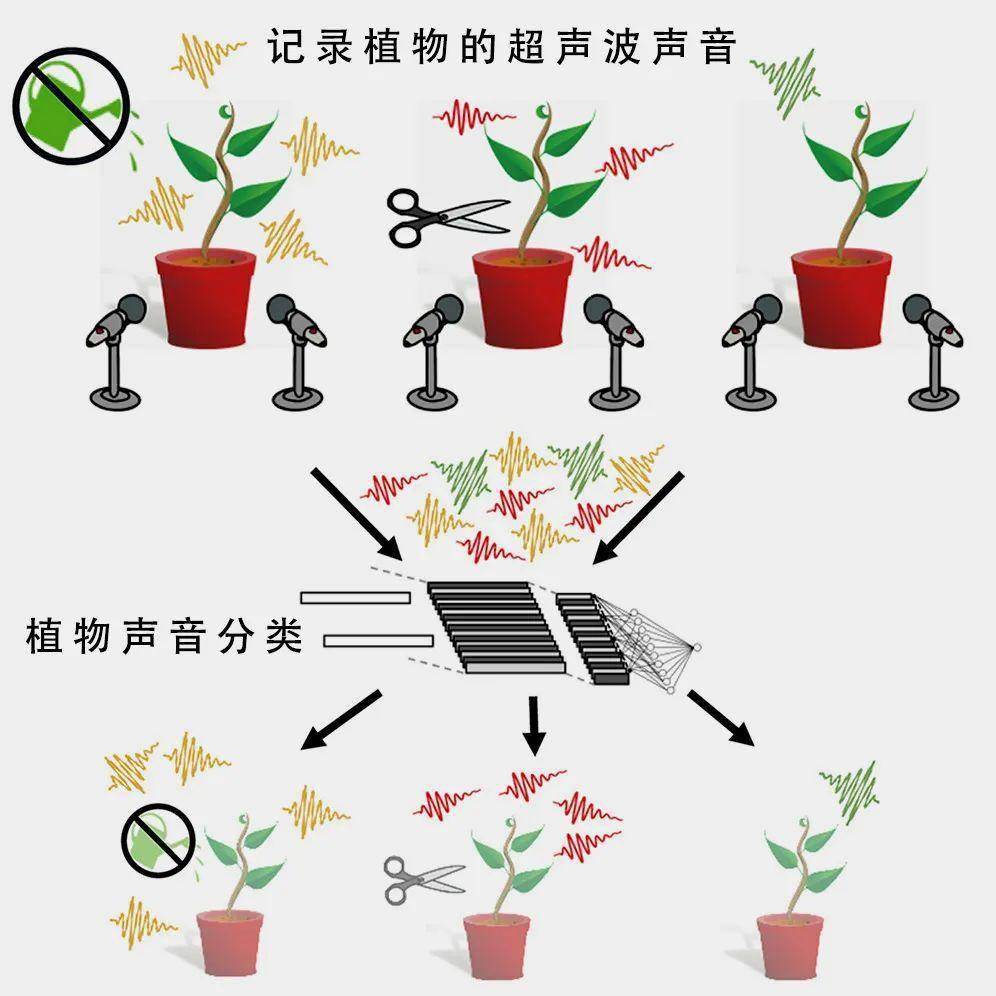 树木盆景与第三方隔声罩声学检测