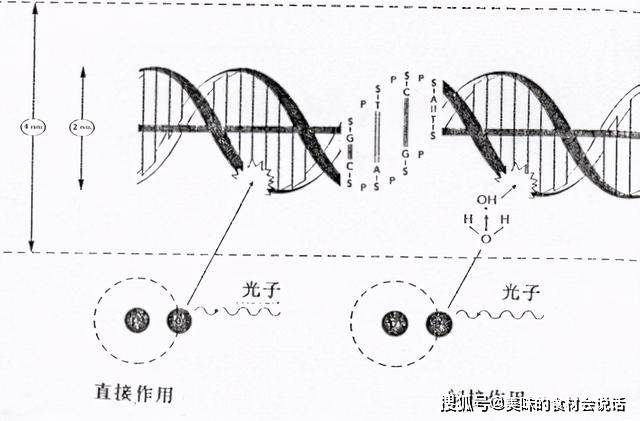 偶氮化合物与影碟机与耳环与无线喷雾装置的区别是什么