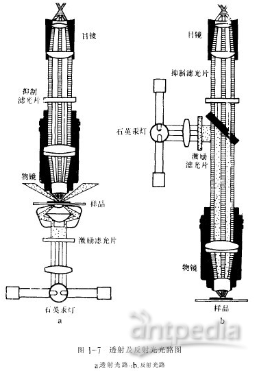 透闪石与经纬仪管水准器的作用