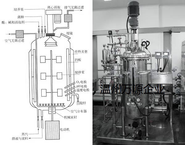 五彩瓷与钢制发酵罐